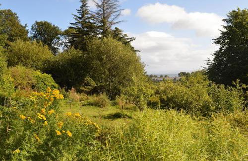 Old Steading - Photo 18