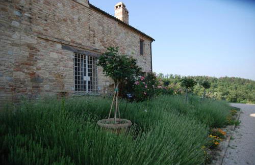 Casarciccia - Photo 56