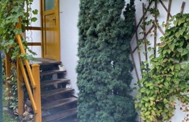 Ferienwohnung „Am Bankzeitweg“ - Foto 1