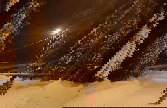 Enjoy your stay in Ranua - Foto 19