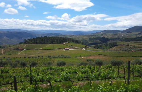 Quinta Soutelinho - Foto 1