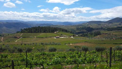 Quinta Soutelinho - Foto 1