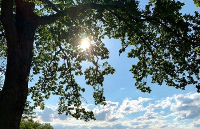 Casa Fortuna Modern Retreat - Foto 22