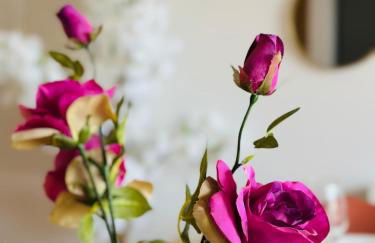 Le Cerisier Centre Fougères - Foto 27