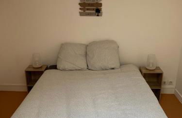 Logement familial 3 chambres 2 wc 2 sdb Futuroscope Arena Aquascope Palais des Congrès - Foto 19