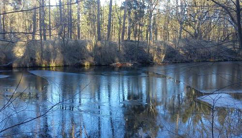 Ferienwohnungen 3 Birken - Foto 5