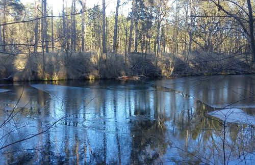 Ferienwohnungen 3 Birken - Foto 5