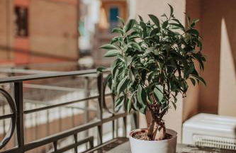 Casa Ludovica - Foto 17