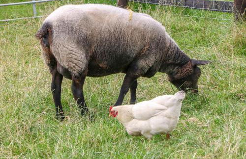 Belles View - Foto 22