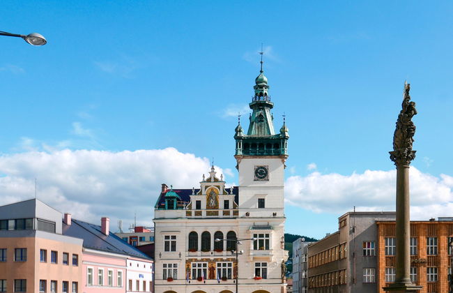 3 bedroom House in Stárkov with swimming pool and garden - Photo 42