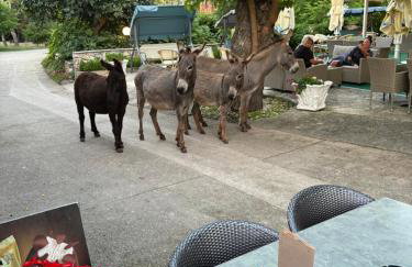 Do 8 osoba 3 sobe 2 terase - Foto 22