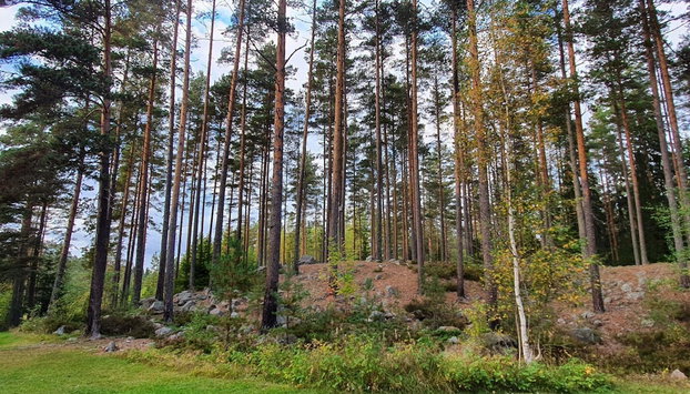 6 Person Holiday Home in Kopparberg - Photo 4