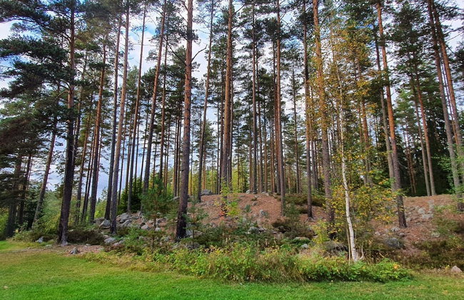 6 Person Holiday Home in Kopparberg - Foto 13