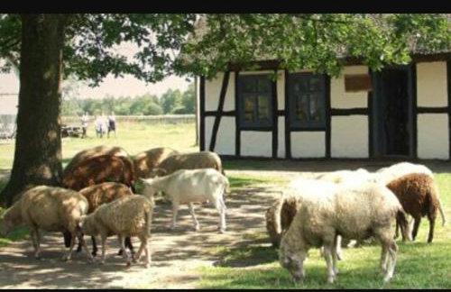 Agroturystyka Pod Dębami w Klukach - Foto 44