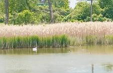 Oaza spokoju - Walendów - Foto 15