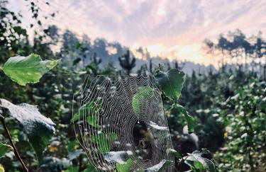 Za Lasem Nad Wodą - Foto 9