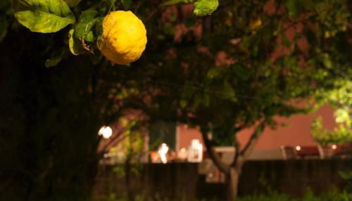 Casale Al Mare - Foto 3, Garden