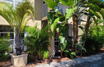 Beach Front Condo Paradise. Ground Floor.Studio. - Foto 31