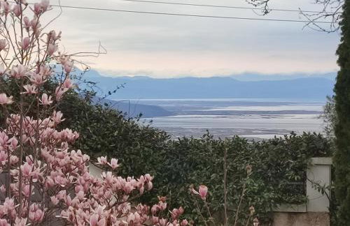 Guesthouse Michobeis - Foto 42