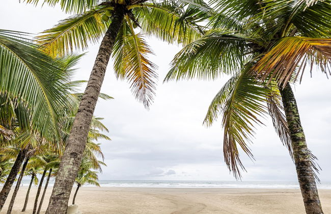 Make Some Memories at This Unique Place - Foto 36