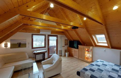 Ferienwohnung zur Saaleaue - Foto 8