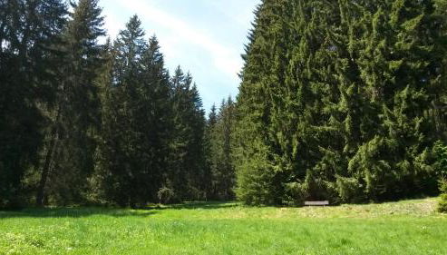 Ferienhaus Bad Hundertpfund Typ A - Foto 4