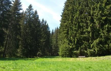 Ferienhaus Bad Hundertpfund Typ C - Foto 4