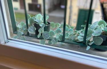 Grazioso monolocale - Photo 20