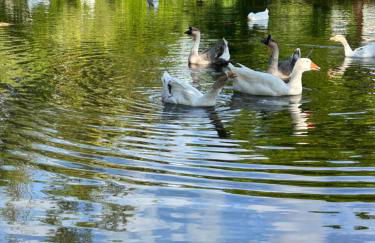 Unwind Island - Photo 20