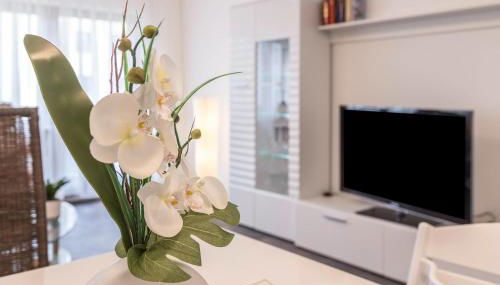 Heidis Dihei - Foto 5