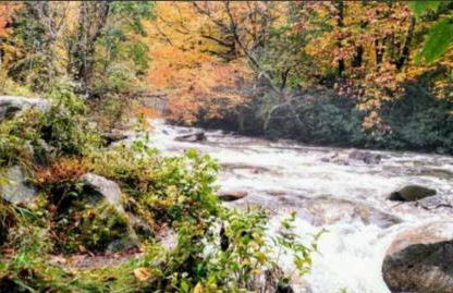 ShortLong Stays Welcome! Hot tub, Dog Friendly! - Foto 48