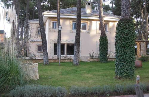 El Chalet del Pinar - Foto 4