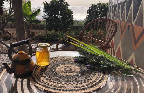 Afrikan Krisant Tenerife, Casa Rural Ecologica - Foto 47