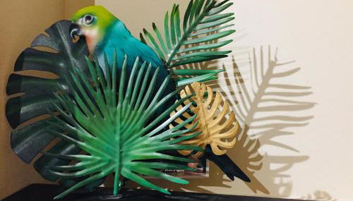 All'Antica Distilleria - Foto 3