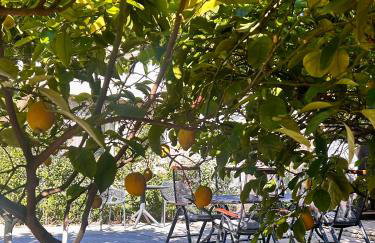 La Bella Vita - Luxury Holiday House close to Corfu Town - Foto 77