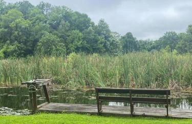 Professor Rousseau's Tiki Hideaway - Foto 45