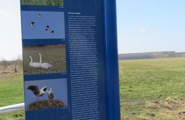 Ferienhaus Schillo - Photo 16