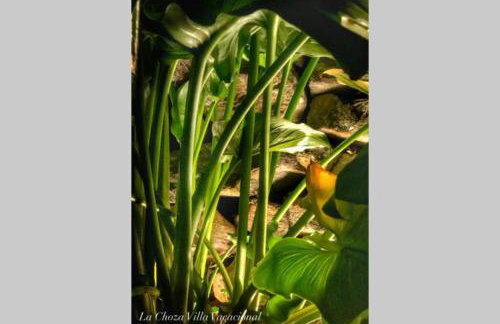 LA CHOZA VILLA VACACIONAL - Foto 27