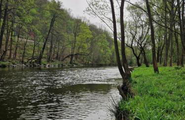 Ferienhaus Reschwitzer Auszeit - Foto 27
