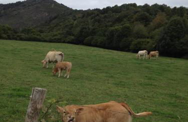 La Posada Nueva - Foto 2