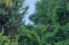 Casas Bouça Maria - Aqua Village & Sports - Foto 42