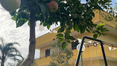 Casa Vacanze Paradise - Foto 4