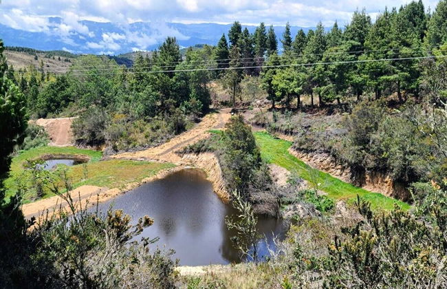 Casita Luna de Miel - Foto 15