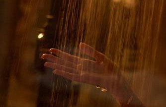 Paradise Ranch Inn- Limitless House Hot Tub,Sauna - Foto 39