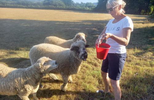Under the Stars Shepherds Huts at Harbors Lake - Photo 36