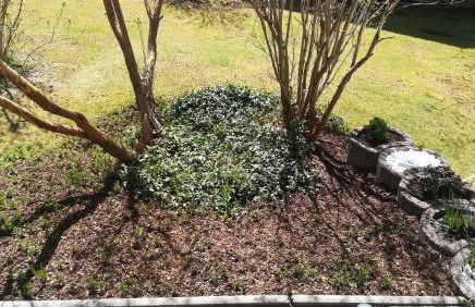 Haus Haidweg - Ferienwohnungen in Haidmühle im Dreiländereck DE-CZ-AT - Foto 15