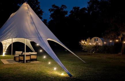 Highland Cow Glamping in a Cozy King Bed Wagon - Foto 15