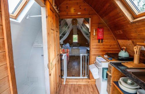 Robin Nest - Cosy Shepherd's Hut Hideaway - Photo 30