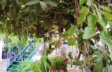 House of Athina and Fanourios - Photo 28