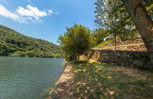 Douro Green - Foto 29